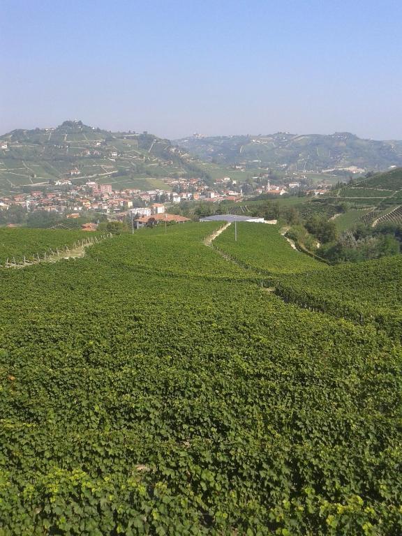 Agriturismo Ai Piacentini Santo Stefano Belbo Eksteriør bilde