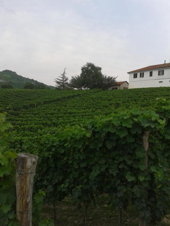 Agriturismo Ai Piacentini Santo Stefano Belbo Eksteriør bilde