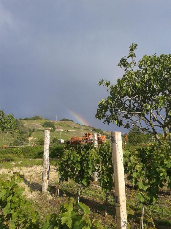 Agriturismo Ai Piacentini Santo Stefano Belbo Eksteriør bilde